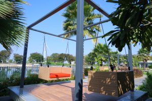 Navjivan Nature Care