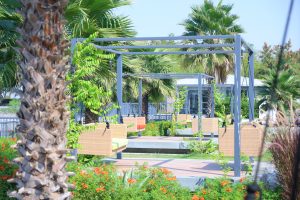 Navjivan Nature Care