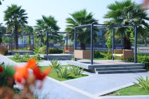 Navjivan Nature Care