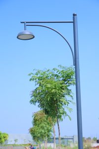 Navjivan Nature Care