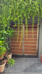Dr. Tushar Vegad’s House